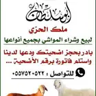 اضاحي عيد