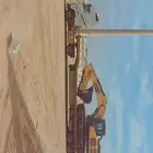 لوبد بيشه على اي اتجاه