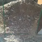 سماد طيور ( حمام ودجاج ) غير معالج