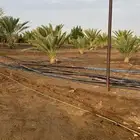 مزرعه أرض عقار خليص غران