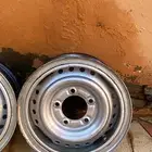 جنوط شنبر