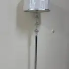 الاحساء البطاليه