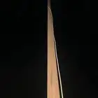 لاقط شبكة