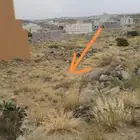 ارض للايجار