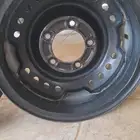 جنوط شنبر