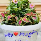 تنسيق الأحواض الزراعية