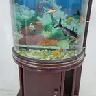 حوض اسماك ( الاحساء)