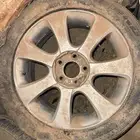 جنوط النترا 2013