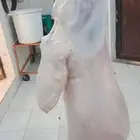 حري عقيقه ذبايح مناسبات ذبائح زواج يوجد صلخ توصيل