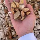 توريد حجر الوادي