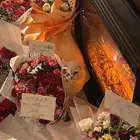 قطط للتبني  اي استفسار و معلومات نتكلم فيها فالخاص