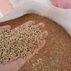 للبيع حنطة الفواره