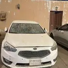 كادينزا 15