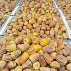 مفتل فاخر