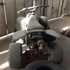 دباب للبيع