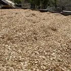 معلم مكاين نشارة خشب