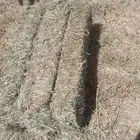 بلوبنك ناعم شد ووزن