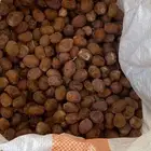 تمر مواشي ممتاز