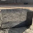 مصيدة قطط