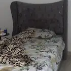 سرير نفر ونص للبيع