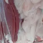 ملحمه حاشي السويرقيه جوده نتميز في الحاشي والحري ج