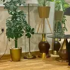 اثاث