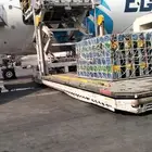 نحل مصري مرزوم