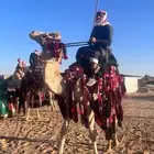رحول قليصه