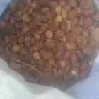 تمر أعلاف للحلال خياس