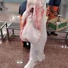 ذبيحه ذبايح مناسبات وثلاجه