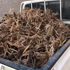 موجود حوض ددسن البيع