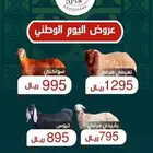 نعيمي بلدي ب 1295