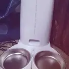 مستلزمات قطط للبيع