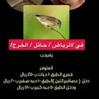 دخاخيل