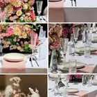 تأجير طاولات طعام بأسعار منافسة   Lola event