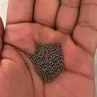 حلبي اصلي ايطالي شرط صلب