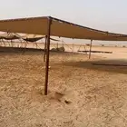 مضلات الحلال تفصيل فوري على الطلب