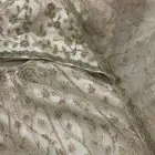 ميل اطفال