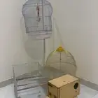 اقفاص و بياضات للبيع