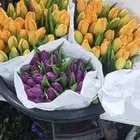 ورد جملة