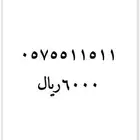 ارقام مميزه