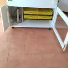 فقاسه