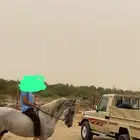 تم البيع