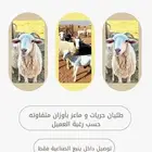 حريات وماعز للبيع باسعار و احجام متفاوتة وإمكانية التوصيل