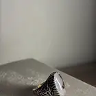 خواتم فضة عقيق يماني
