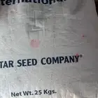 برسيم أمريكي باسيفك انترناشونال