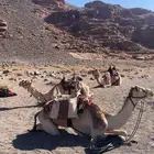 يوجد لدي تطبيع إشداد
