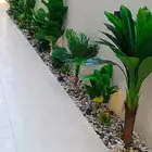 تنسيق حدايق احواض