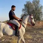 عسف خيل