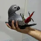 فرخ كاسكو اليف طفره